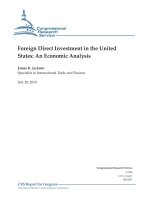 Foreign Direct Investment in the United States: An Economic Analysis pdf
