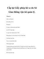 Cấp lại Giấy phép lái xe do Sở Giao thông vận tải quản lý doc