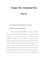 Chapter 014. Abdominal Pain (Part 2) doc