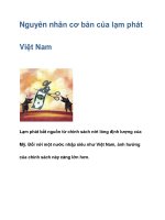 Nguyên nhân cơ bản của lạm phát Việt Nam potx