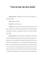 Viêm túi mật cấp (đơn thuần) pdf