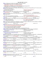 DE THI THU HOC KI II-LOP 11