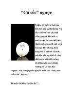 “Cú sốc” ngược ppsx