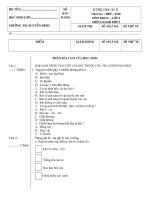 KHOA - SU- DIA _ LOP 4