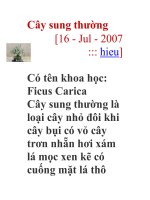 Cây sung thường . pdf