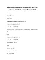 Cấp Giấy phép kinh doanh bán buôn (hoặc đại lý bán buôn) sản phẩm thuốc lá trong phạm vi một tỉnh potx