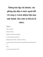 Thông báo lập chi nhánh, văn phòng đại diện ở nước ngoài đối với công ty trách nhiệm hữu hạn một thành viên (chủ sở hữu là tổ chức) pdf