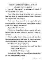 VI SINH VẬT TRONG MỘT SỐ SẢN PHẨM LÊN MEN TRUYỀN THỐNG docx