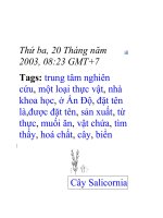 Sản xuất muối ăn từ thực vật ppt