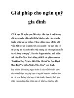 Giải pháp cho ngân quỹ gia đình doc