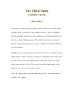 The Third Violet STEPHEN CRANE CHAPTER 12 ppsx