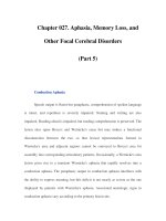 Chapter 027. Aphasia, Memory Loss, and Other Focal Cerebral Disorders (Part 5) pot
