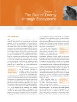 From Individuals to Ecosystems 4th Edition - Chapter 17 ppsx