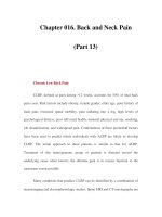 Chapter 016. Back and Neck Pain (Part 13) pot