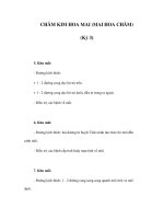 CHÂM KIM HOA MAI (MAI HOA CHÂM) (Kỳ 3) potx