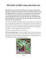 Bài thuốc trị thiểu năng tuần hoàn não potx