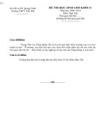 Đề + Đ.Án HSG Văn cấp trường K11 (2009-2010)