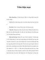 Viêm thận mạn ppt