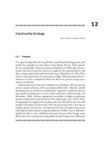 Stephens & Foraging - Behavior and Ecology - Chapter 12 docx