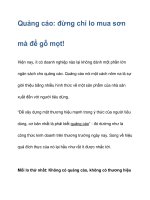 Quảng cáo: đừng chỉ lo mua sơn mà để gỗ mọt! pptx