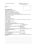 KT 15'''' Ky 2 (rat hay)