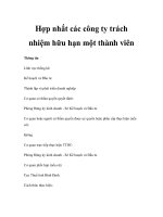 Hợp nhất các công ty trách nhiệm hữu hạn một thành viên ppt