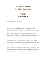 A Prince of Sinners E. Phillips Oppenheim BOOK 3 CHAPTER 8 pot