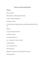 Thủ tục báo cáo giám sát đánh giá đầu tư pps