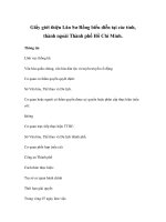 Giấy giới thiệu Lân Sư Rồng biểu diễn tại các tỉnh, thành ngoài Thành phố Hồ Chí Minh pot