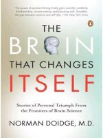 the brain that changes itself_ stories o - norman doidge