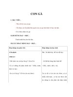 Tự nhiên xã hội lớp 1 - CON GÀ pot