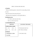 Bài giảng Toán lớp 3 - THỰC HÀNH ĐO ĐỘ DÀI pps