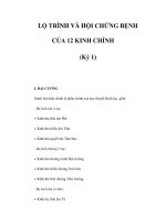 LỘ TRÌNH VÀ HỘI CHỨNG BỆNH CỦA 12 KINH CHÍNH (Kỳ 1) pps