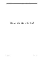 Báo cáo môn Đầu tư tài chính ppt