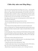 Chữa chảy máu cam bằng đông y Chảy máu cam là tình trạng xuất huyết ở mũi. pptx