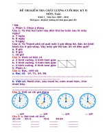 DE KIEM TRA CHAT LUONG CUOI HK2 ( 09-10)