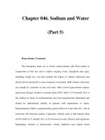 Chapter 046. Sodium and Water (Part 5) docx