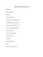 Chứng thực hợp đồng giao dịch dân sự pptx