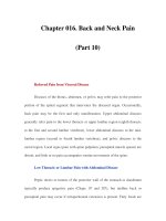 Chapter 016. Back and Neck Pain (Part 10) pdf