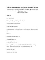 Thủ tục thực hiện bù lãi vay cho các dự án đầu tư trong nước thuộc Chương trình kích cầu trên địa bàn thành phố Hồ Chí Minh pps