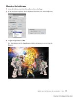 Adobe Flash chuyên nghiệp - p 11 potx