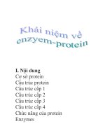 khái niệm về enzym - protein pptx
