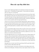 Hoa cúc vạn thọ chữa hen docx