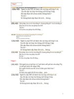 Đề thi giải toán qua Internet lớp 3