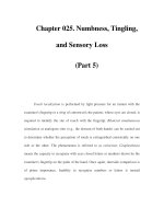 Chapter 025. Numbness, Tingling, and Sensory Loss (Part 5) ppt