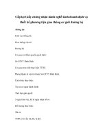 Cấp lại Giấy chứng nhận hành nghề kinh doanh dịch vụ thiết kế phương tiện giao thông cơ giới đường bộ doc