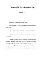 Chapter 029. Disorders of the Eye (Part 3) pptx