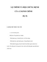 LỘ TRÌNH VÀ HỘI CHỨNG BỆNH CỦA 12 KINH CHÍNH (Kỳ 8) potx