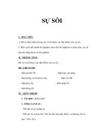 Giáo án vật lý lớp 6 - SỰ SÔI pptx