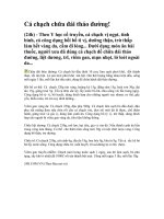 có ai có sáng kiến kinh nghiệm  về đổi mới cách ktra đánh giá học tập môn công nghệ  không cho tôi xin nhé